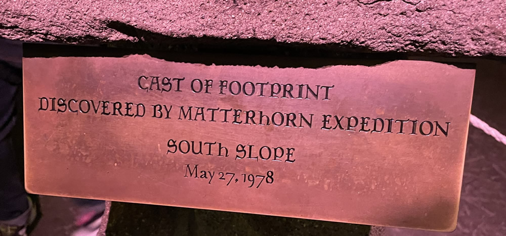 Matterhorn Bobsleds